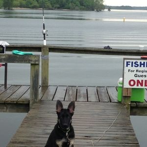 Meet your Posher, Dwayne